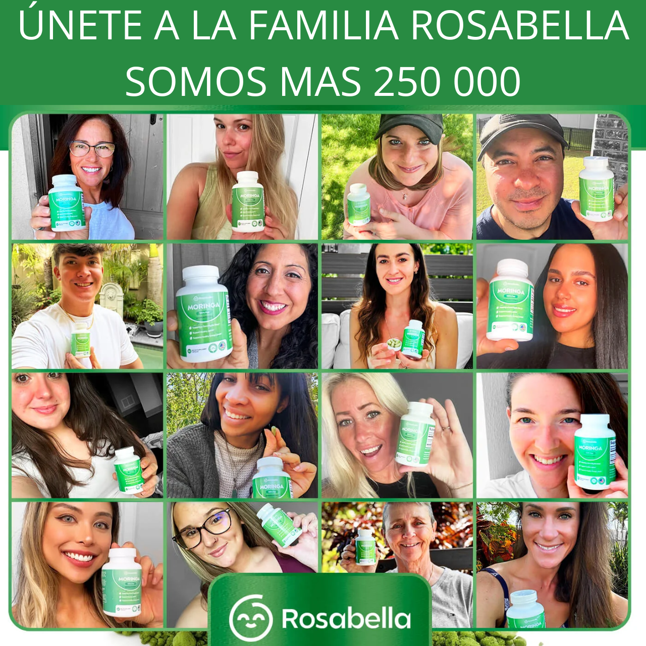 Moringa Rosabella